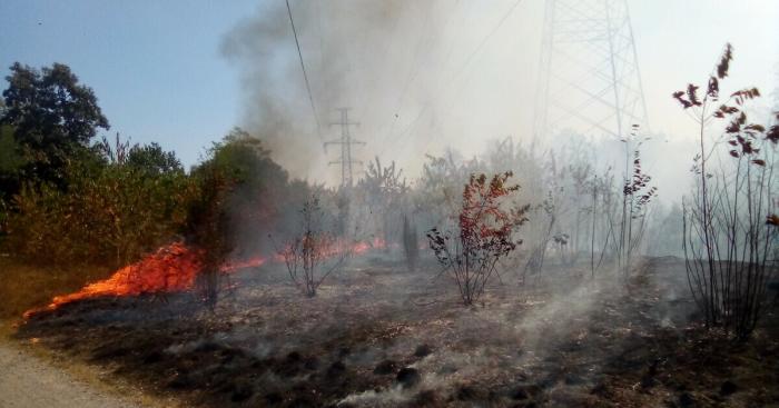 Parco del Ticino sotto assedio: nove incendi in dieci giorni, volontari in campo senza sosta