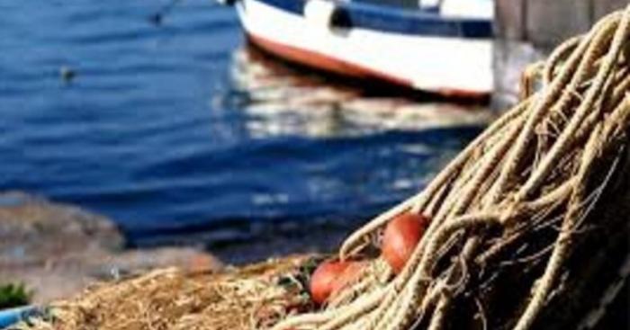 Regione Lombardia investe sulla pesca: oltre 1,4 milioni di euro per imprese e tutela dei laghi