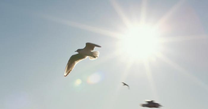 Meteo nel Varesotto, caldo senza eccessi: nel weekend torna qualche temporale
