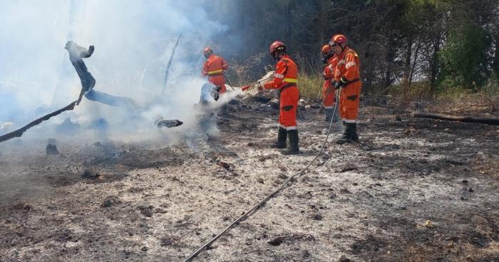 Protezione civile, 258 volontari lombardi impegnati contro gli incendi boschivi in 4 regioni