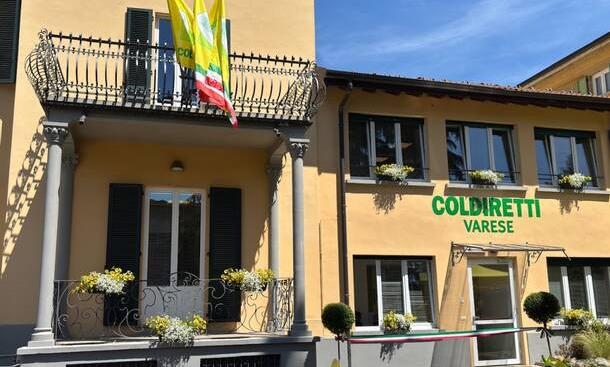 Turismo, Varese punta sull’agricoltura: agriturismi e aziende agricole al centro della crescita del territorio