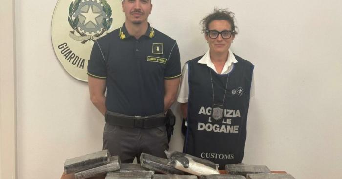 La coca era nascosta nei sedili dell’auto al valico di Brogeda, arrestato un cittadino sloveno
