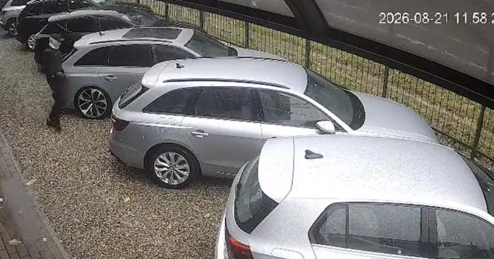 Furto lampo in concessionaria a Ternate: Audi RS4 rubata in cinque minuti