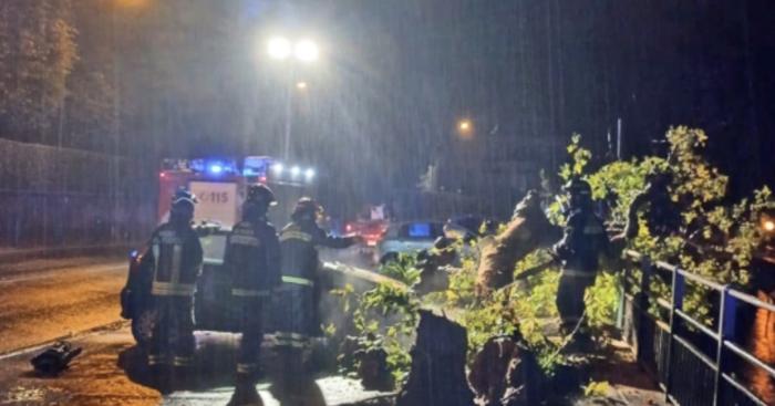 Nubifragio sul Varesotto, oltre cento interventi: alberi abbattuti e voli cancellati a Malpensa