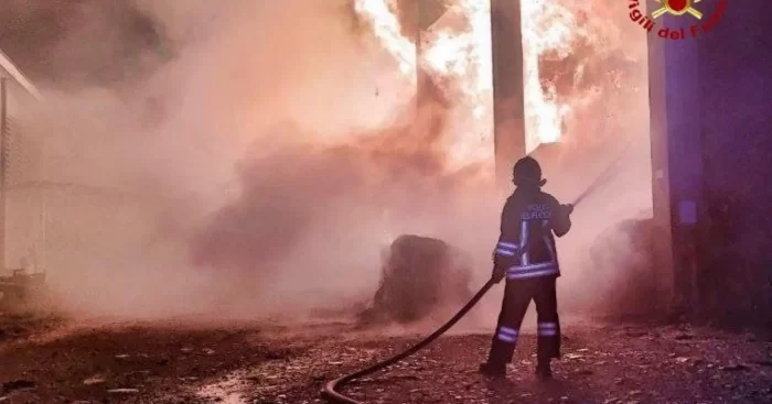 Parco del Ticino, barbecue provoca un incendio boschivo: multa da 1.925 euro
