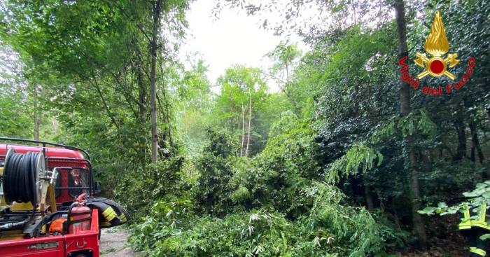Varese nella morsa del temporale: alberi caduti e allagamenti, una cinquantina di interventi