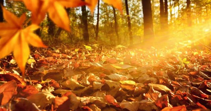 Settembre da record nel Varesotto: il caldo non molla e l’autunno resta lontano