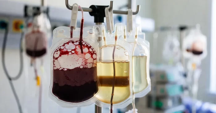 Testimoni di Geova, svolta sulle trasfusioni: globuli rossi, plasma e piastrine diventano una scelta personale