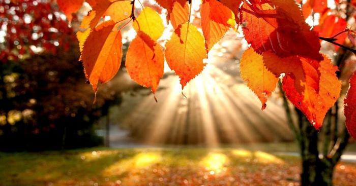Meteo Varese, sole e temperature miti: bel tempo fino al weekend