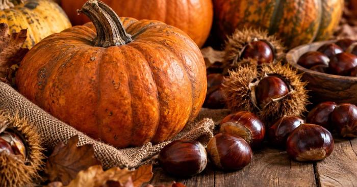 Cunardo, torna la Sagra della zucca e della castagna: tre giorni di cucina e musica
