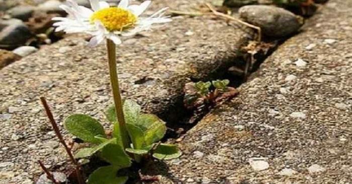 Consumo di suolo, provincia di Varese sempre più urbanizzata: persi altri 61,7 ettari in un anno