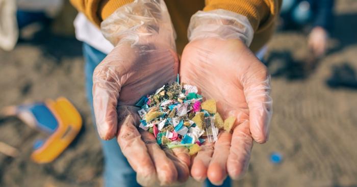 Dalla plastica agli amminoacidi: l’Insubria chiude il progetto ProPla e guarda alla bioeconomia del futuro